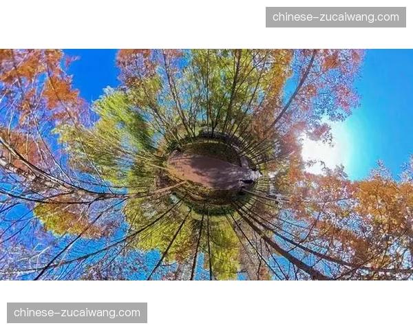 超高清全景相机覆盖全场，沉浸式观赛数据流正式入网