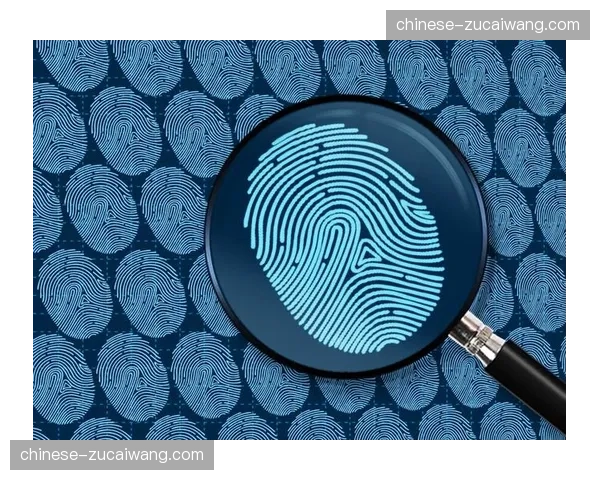 内容指纹识别 正在追踪二次剪辑中的商业权益渗透